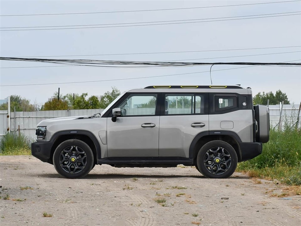 Jetour Traveler C-DM 208KM Linye Edition suppliers